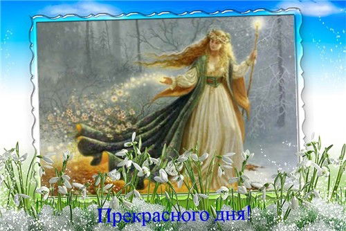 София Гамерник