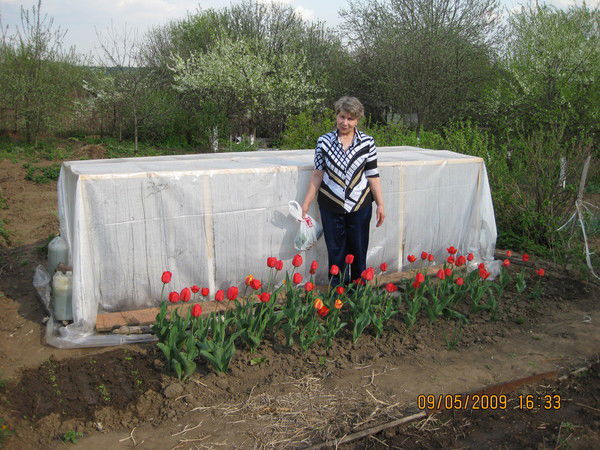 Евгения Голубкова