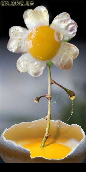 Людмила Романова