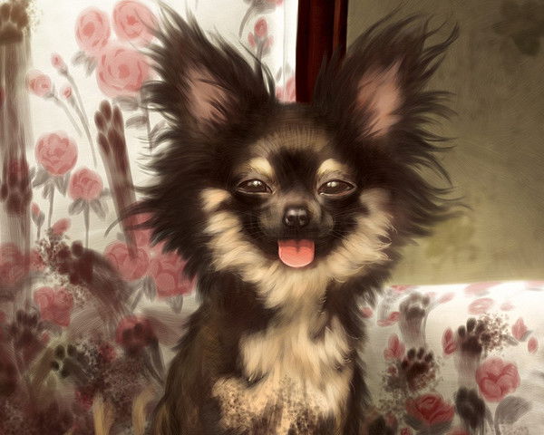 Игорь Иркабаев