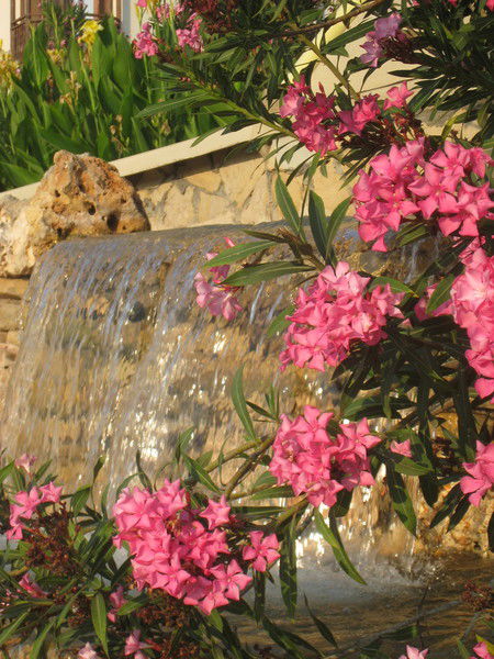 Мария Чернова