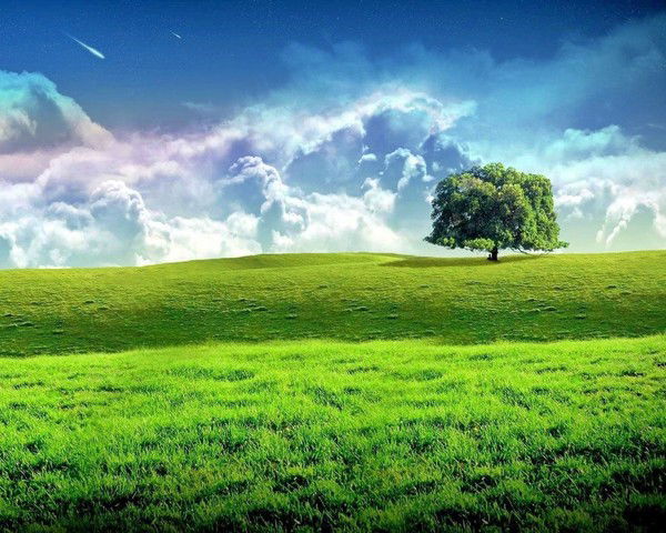 Махмуд Сейдалиев