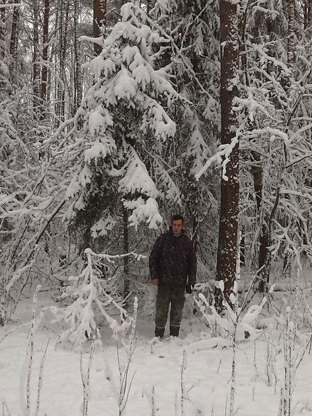 ?????????????? ????????????