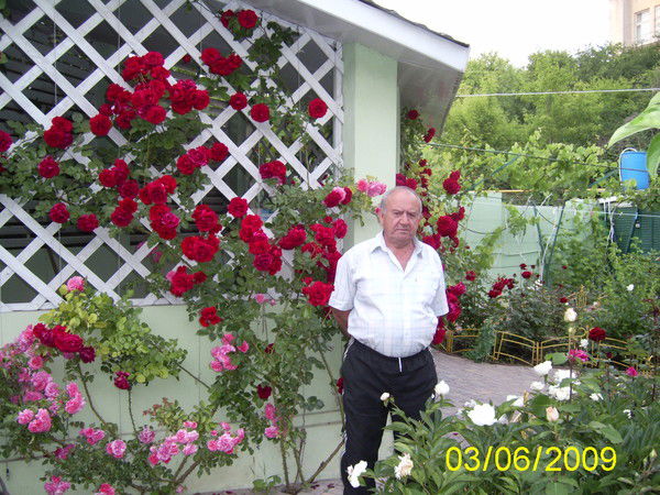 Вячеслав Никитченко