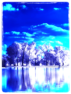 Елена Матвеева