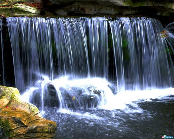 Лариса Димитрюшкина