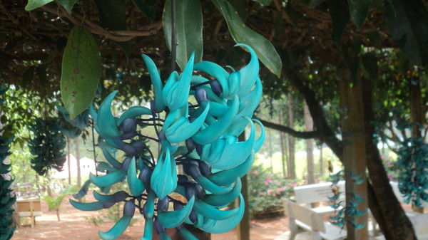 Алина Рудакова