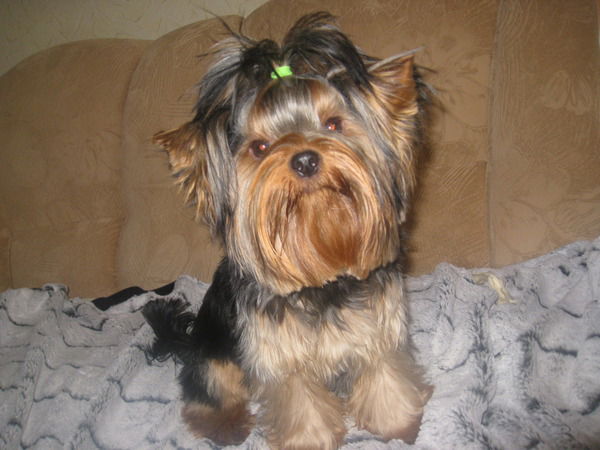 Лариса Антонова