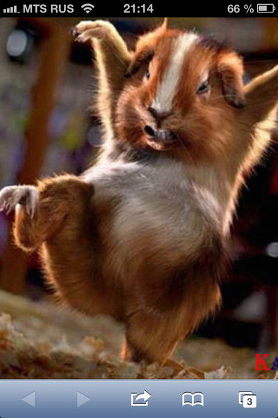 Ирина Тебенькова