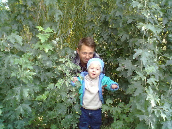 Александр Рагозин