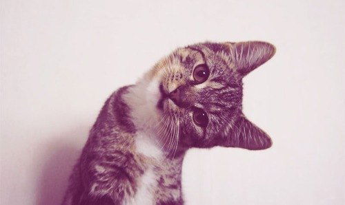 Лена Фролова