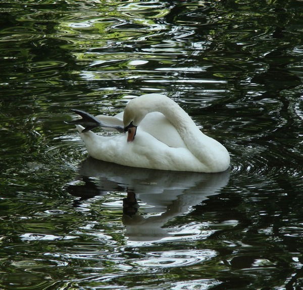 Замзагуль Турсынкулова
