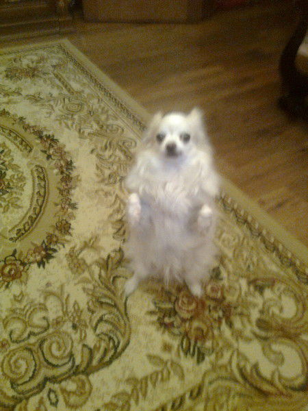 Надежда Сухорукова