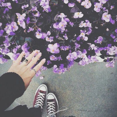 Анастасия Качанова