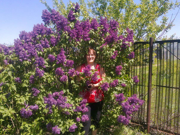 Лидия Комарова