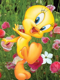 Антон Кондрашов