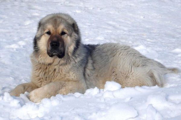 Иван Климкин