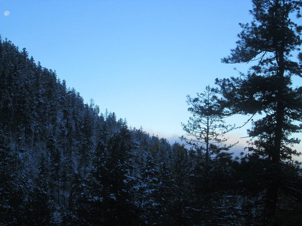 Денис Иванов