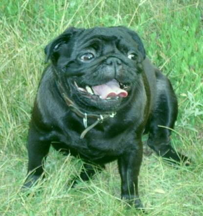 Валентина Стародубцева