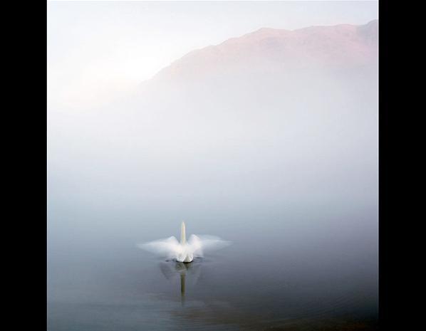 Алёна Разнодежина