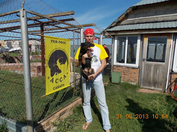 Вячеслав Виноградов