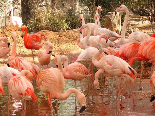 Екатерина Тагирова