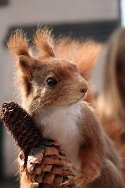 Ася Курганова