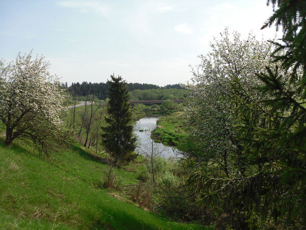 Александр Комоза