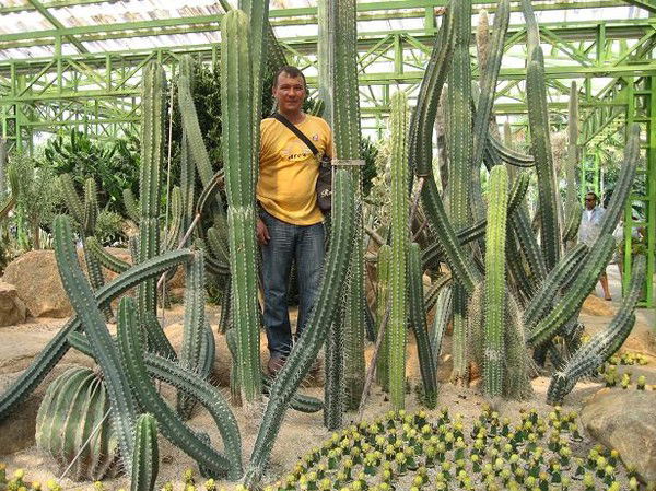 Ринат Коекто