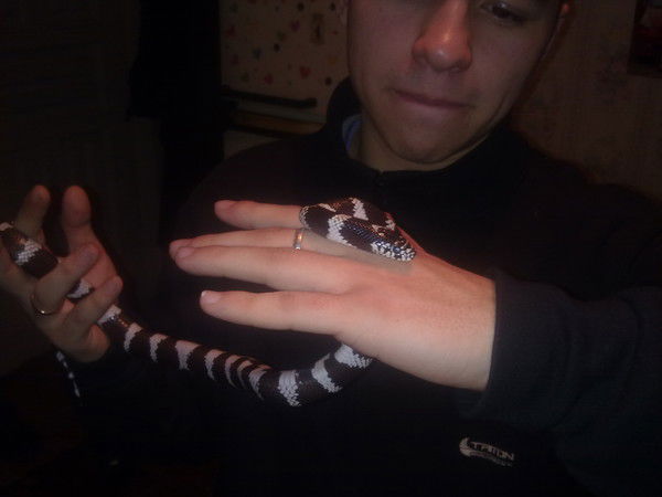 Николай Пилипченко