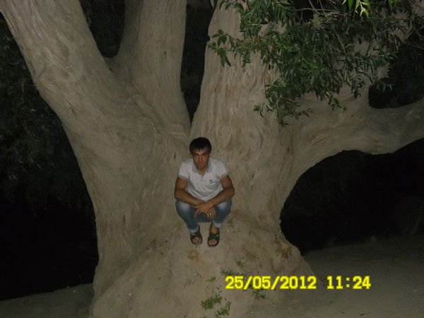 Вовчик Вовчик