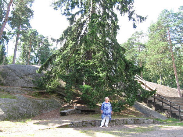 Ольга Правдина