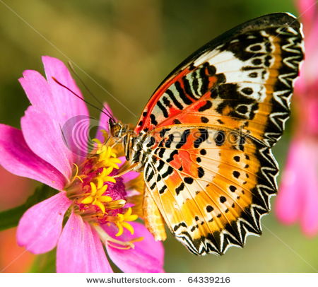 Римма Сагирова