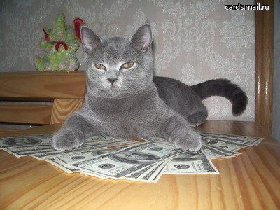 Игорь Игорь