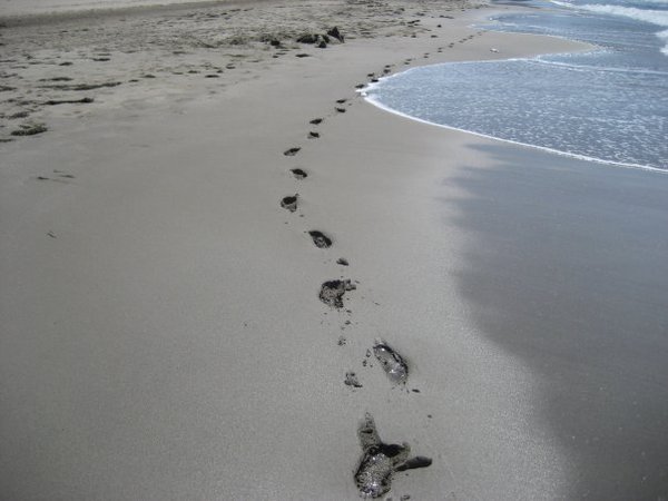 Соловьева Екатерина