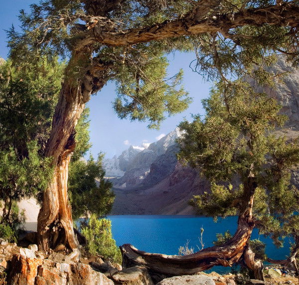 Маргарита Курченко