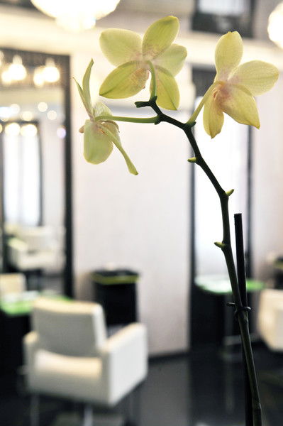 Салон Красоты №1