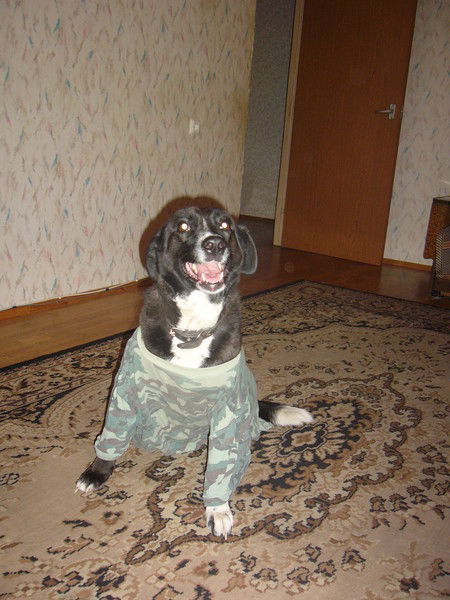 Сергей Коженов