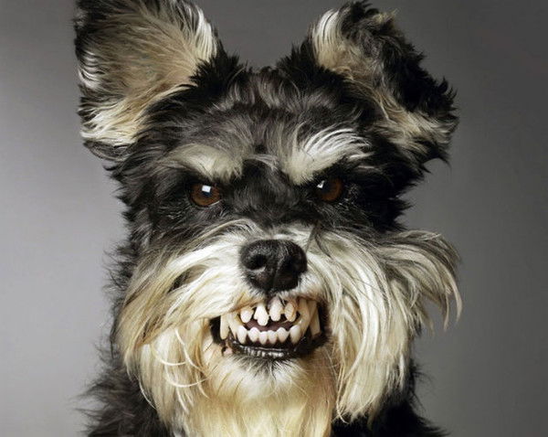 Данияр Кумискалиев