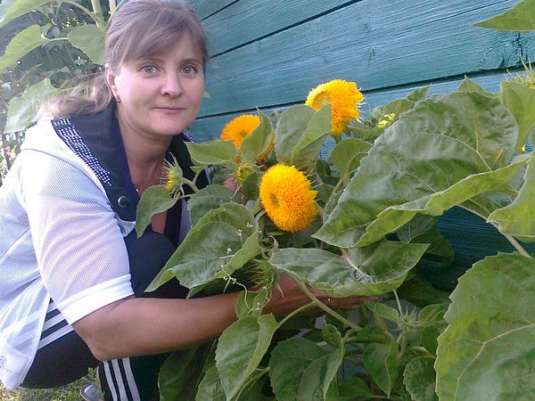 Светлана Червякова