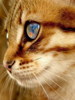 Дарья Казанцева