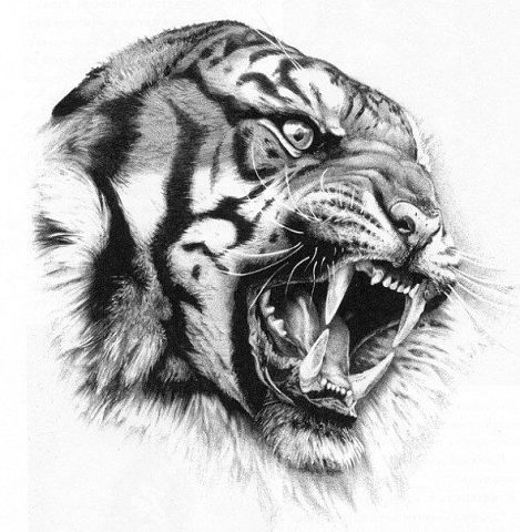 Евгений Безверхий