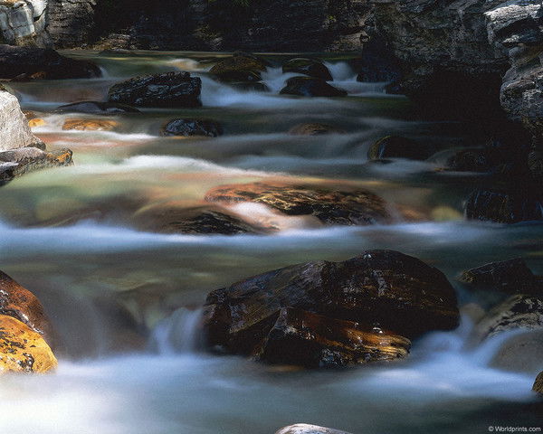 Елена Макеева