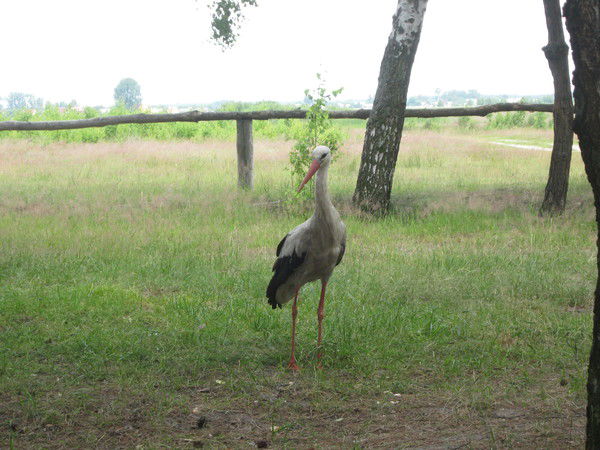 Виктор .......