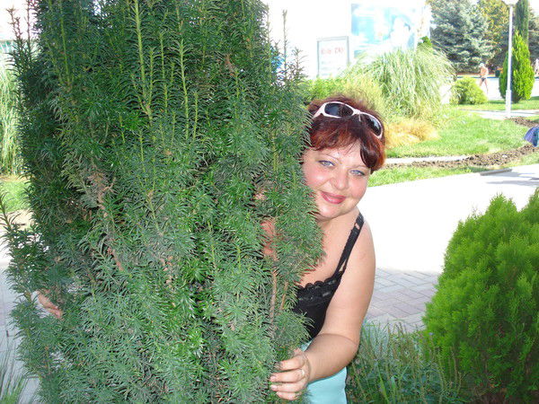 Елена Шпагина