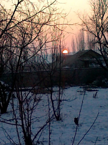 Отабой Рахимгозиев