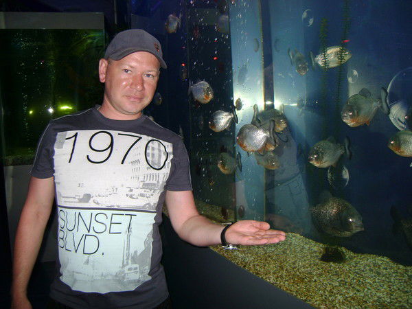 Максим Евдокимов