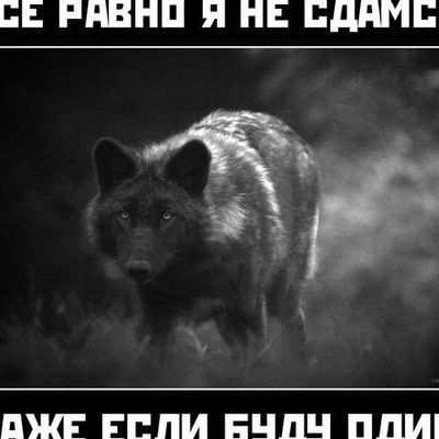 Данил Подкорытов