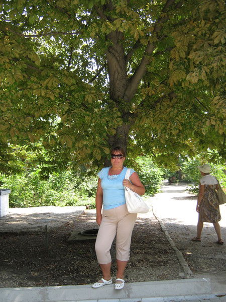 Елена Рыжова