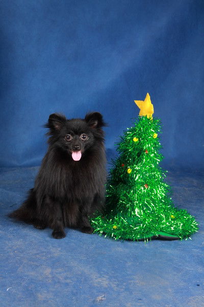 Рита Шестакова